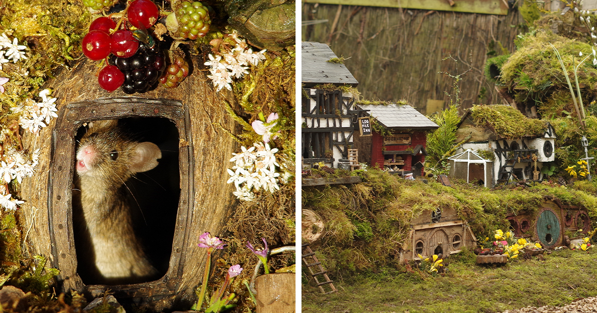 I Built A Mouse Village, Which Might Be The First And Only