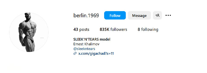 Instagram profile of Ernest Khalimov, known for Giga Chad meme, showing 835K followers and minimalistic layout. Instagram profile of Ernest Khalimov, known for Giga Chad meme, showing 835K followers and minimalistic layout.