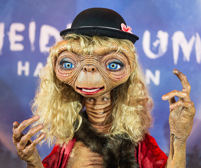 Heidi Klum Loses The Spotlight With 2024 Halloween Costume After Singer Does It First Heidi Klum Loses The Spotlight With 2024 Halloween Costume After Singer Does It First