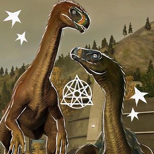 julijackie-nope avatar