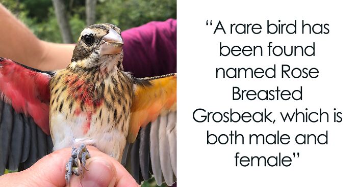 65 Cool And Interesting Facts From Around The World, Shared On This Insta Page