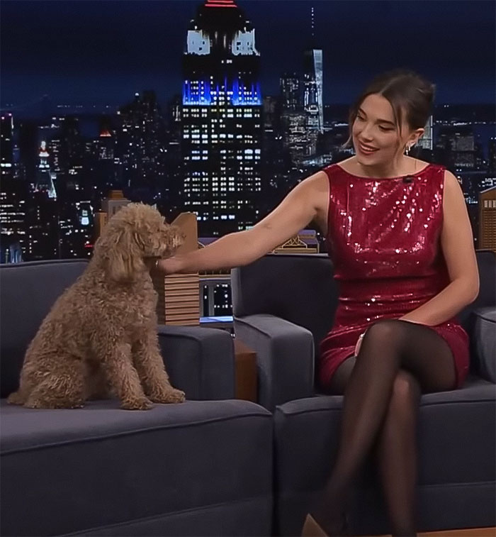 “That’s Not Okay!”: Millie Bobby Brown Fans Divided Over Her Dog’s “Diabolical” New Haircut “That’s Not Okay!”: Millie Bobby Brown Fans Divided Over Her Dog’s “Diabolical” New Haircut