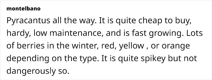 Fence-Hopping Neighbors Treat Private Yard As Public Shortcut, Homeowner Plans To Strike Back Fence-Hopping Neighbors Treat Private Yard As Public Shortcut, Homeowner Plans To Strike Back