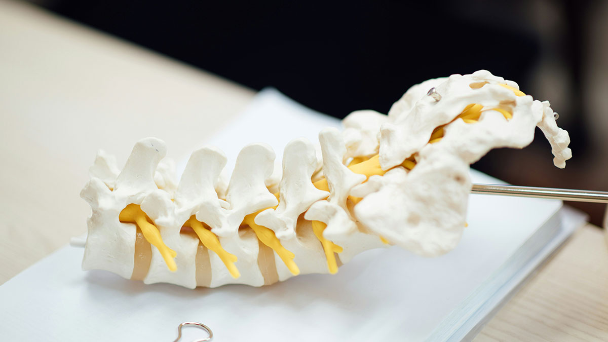 “Lived Like This Until 21”: 50 Times People Found Out Their Bodies Were Different From The ‘Norm’