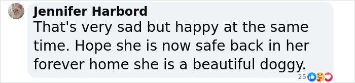 Texas Dog Who Was Missing For 7 Years Was Found Abandoned In Florida, Barely Able To Walk Texas Dog Who Was Missing For 7 Years Was Found Abandoned In Florida, Barely Able To Walk