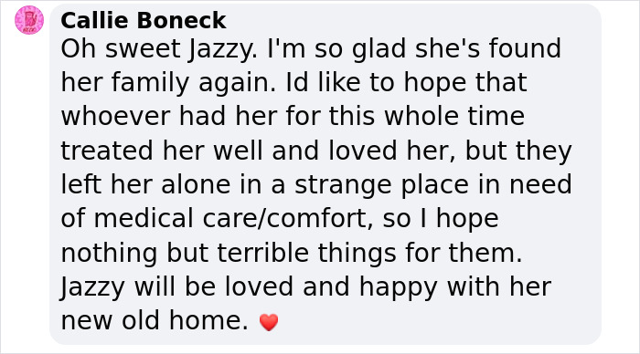 Texas Dog Who Was Missing For 7 Years Was Found Abandoned In Florida, Barely Able To Walk Texas Dog Who Was Missing For 7 Years Was Found Abandoned In Florida, Barely Able To Walk