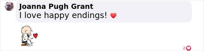 Texas Dog Who Was Missing For 7 Years Was Found Abandoned In Florida, Barely Able To Walk Texas Dog Who Was Missing For 7 Years Was Found Abandoned In Florida, Barely Able To Walk