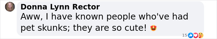 Injured Mama Skunk Ends Up Adopting An Orphan, The Next Day The Rescue Team Finds Her Babies Injured Mama Skunk Ends Up Adopting An Orphan, The Next Day The Rescue Team Finds Her Babies