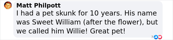 Injured Mama Skunk Ends Up Adopting An Orphan, The Next Day The Rescue Team Finds Her Babies Injured Mama Skunk Ends Up Adopting An Orphan, The Next Day The Rescue Team Finds Her Babies