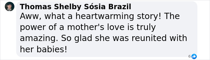 Injured Mama Skunk Ends Up Adopting An Orphan, The Next Day The Rescue Team Finds Her Babies Injured Mama Skunk Ends Up Adopting An Orphan, The Next Day The Rescue Team Finds Her Babies