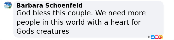 Couple Rescue Injured And Abandoned Dog, Use Their Wedding Fund To Save Her Life Couple Rescue Injured And Abandoned Dog, Use Their Wedding Fund To Save Her Life