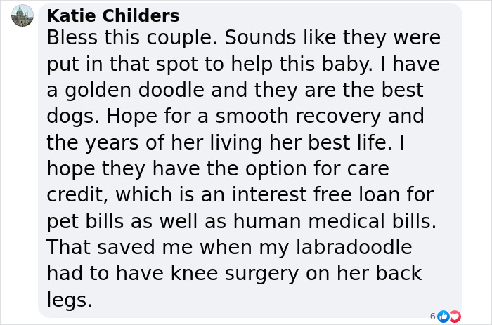 Couple Rescue Injured And Abandoned Dog, Use Their Wedding Fund To Save Her Life Couple Rescue Injured And Abandoned Dog, Use Their Wedding Fund To Save Her Life