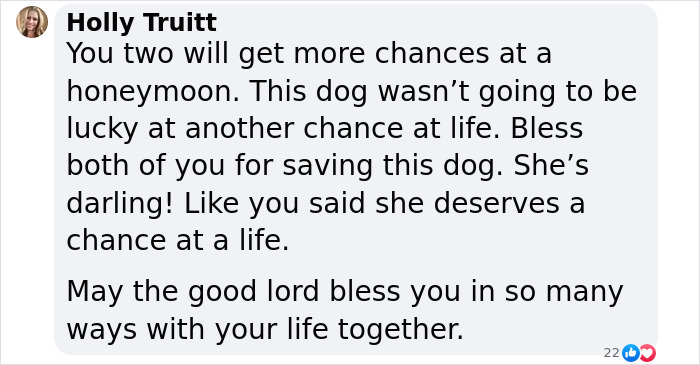 Couple Rescue Injured And Abandoned Dog, Use Their Wedding Fund To Save Her Life Couple Rescue Injured And Abandoned Dog, Use Their Wedding Fund To Save Her Life