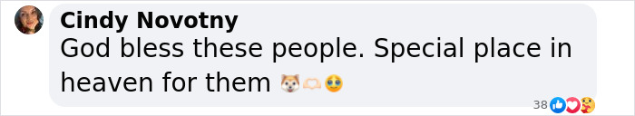 Couple Rescue Injured And Abandoned Dog, Use Their Wedding Fund To Save Her Life Couple Rescue Injured And Abandoned Dog, Use Their Wedding Fund To Save Her Life