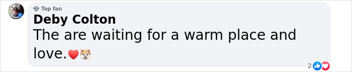 Lovely Pitbull Can’t Stop Hugging Woman Who Gave Him Foster Home, Goes Viral When Pics Spread Online Lovely Pitbull Can’t Stop Hugging Woman Who Gave Him Foster Home, Goes Viral When Pics Spread Online