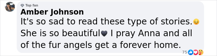 Meet Anna, Probably The World’s Loneliest Foster Dog, Who Has Had Her Heart Broken For The 8th Time Meet Anna, Probably The World’s Loneliest Foster Dog, Who Has Had Her Heart Broken For The 8th Time