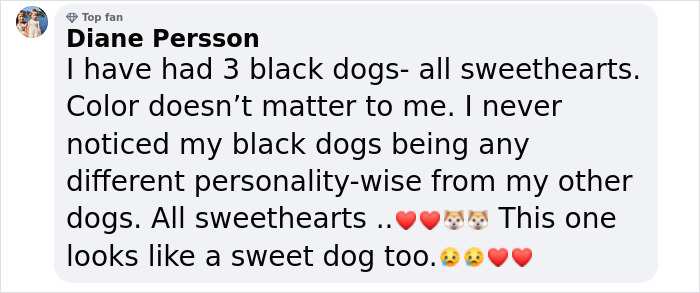 Meet Anna, Probably The World’s Loneliest Foster Dog, Who Has Had Her Heart Broken For The 8th Time Meet Anna, Probably The World’s Loneliest Foster Dog, Who Has Had Her Heart Broken For The 8th Time