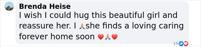 Meet Anna, Probably The World’s Loneliest Foster Dog, Who Has Had Her Heart Broken For The 8th Time Meet Anna, Probably The World’s Loneliest Foster Dog, Who Has Had Her Heart Broken For The 8th Time