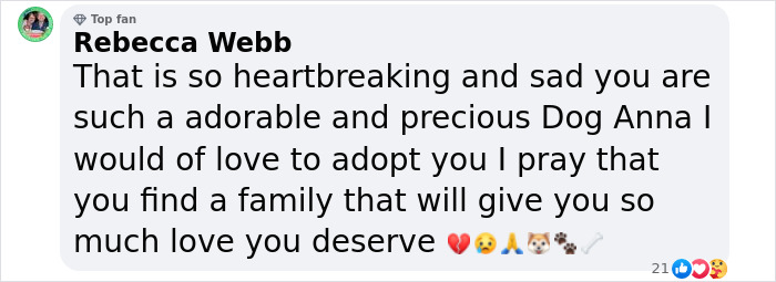 Meet Anna, Probably The World’s Loneliest Foster Dog, Who Has Had Her Heart Broken For The 8th Time Meet Anna, Probably The World’s Loneliest Foster Dog, Who Has Had Her Heart Broken For The 8th Time