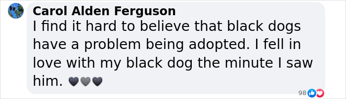 Meet Anna, Probably The World’s Loneliest Foster Dog, Who Has Had Her Heart Broken For The 8th Time Meet Anna, Probably The World’s Loneliest Foster Dog, Who Has Had Her Heart Broken For The 8th Time