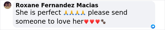 Meet Anna, Probably The World’s Loneliest Foster Dog, Who Has Had Her Heart Broken For The 8th Time Meet Anna, Probably The World’s Loneliest Foster Dog, Who Has Had Her Heart Broken For The 8th Time