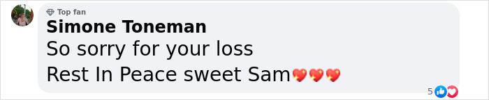 This Man Found A Beautiful Way To Relive The Final Memory With His Dog Who Passed Away This Man Found A Beautiful Way To Relive The Final Memory With His Dog Who Passed Away
