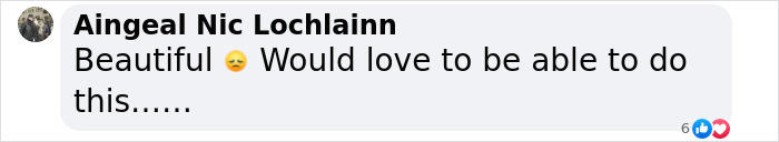 This Man Found A Beautiful Way To Relive The Final Memory With His Dog Who Passed Away This Man Found A Beautiful Way To Relive The Final Memory With His Dog Who Passed Away