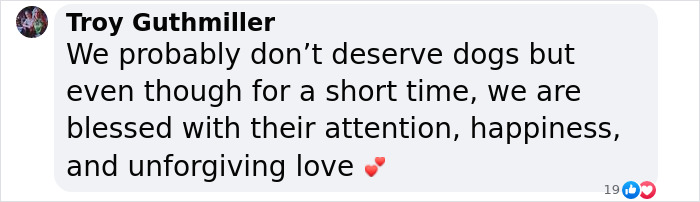 This Man Found A Beautiful Way To Relive The Final Memory With His Dog Who Passed Away This Man Found A Beautiful Way To Relive The Final Memory With His Dog Who Passed Away