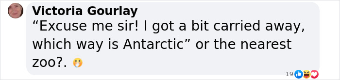 Emperor Penguin Travels Over 2,000 Miles For An Adventure Of A Lifetime Emperor Penguin Travels Over 2,000 Miles For An Adventure Of A Lifetime