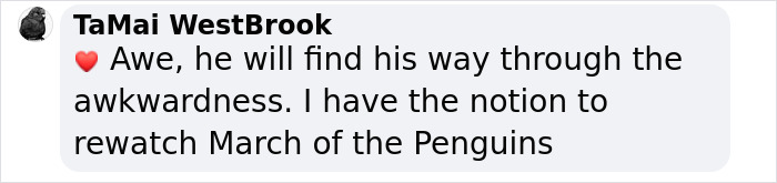 Pesto, The Viral Penguin, Is About To Lose All His Fluff And Become A Full-Fledged King Penguin Pesto, The Viral Penguin, Is About To Lose All His Fluff And Become A Full-Fledged King Penguin