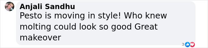 Pesto, The Viral Penguin, Is About To Lose All His Fluff And Become A Full-Fledged King Penguin Pesto, The Viral Penguin, Is About To Lose All His Fluff And Become A Full-Fledged King Penguin