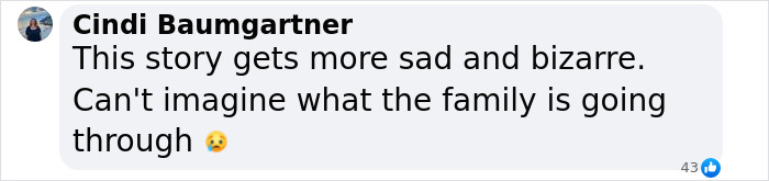 Comment on the missing woman case, expressing sympathy for Hannah Kobayashi's family. Comment on the missing woman case, expressing sympathy for Hannah Kobayashi's family.