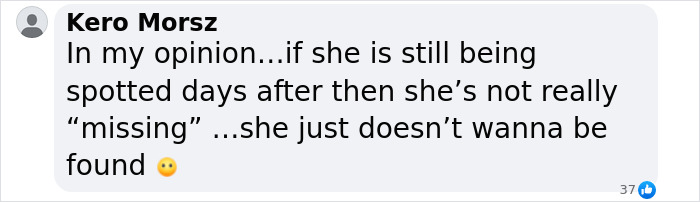 Comment about missing woman case, discussing Hannah Kobayashi and mysterious payments investigation. Comment about missing woman case, discussing Hannah Kobayashi and mysterious payments investigation.