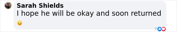 Emperor Penguin Travels Over 2,000 Miles For An Adventure Of A Lifetime Emperor Penguin Travels Over 2,000 Miles For An Adventure Of A Lifetime