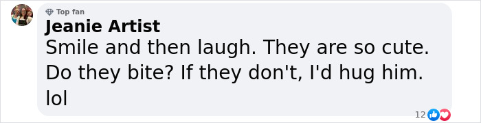 Man's New Unexpected Adorable Coworker Is Melting Hearts Online After Sneaking Into His Office Man's New Unexpected Adorable Coworker Is Melting Hearts Online After Sneaking Into His Office