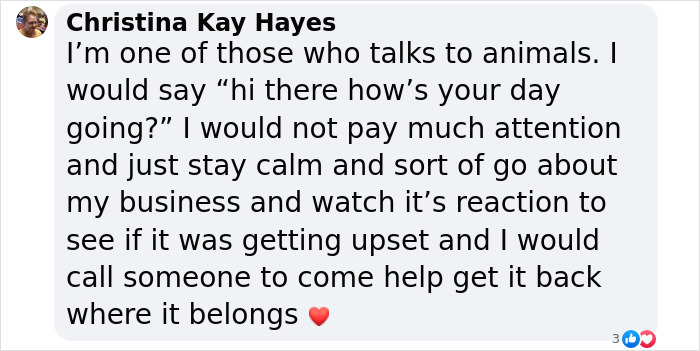 Man's New Unexpected Adorable Coworker Is Melting Hearts Online After Sneaking Into His Office Man's New Unexpected Adorable Coworker Is Melting Hearts Online After Sneaking Into His Office