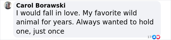 Man's New Unexpected Adorable Coworker Is Melting Hearts Online After Sneaking Into His Office Man's New Unexpected Adorable Coworker Is Melting Hearts Online After Sneaking Into His Office