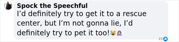 Man's New Unexpected Adorable Coworker Is Melting Hearts Online After Sneaking Into His Office Man's New Unexpected Adorable Coworker Is Melting Hearts Online After Sneaking Into His Office
