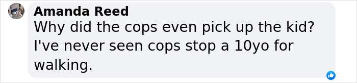 Mom Arrested For Letting 10-Year-Old Son Walk Alone, Community Raises Over $55k To Help Her Mom Arrested For Letting 10-Year-Old Son Walk Alone, Community Raises Over $55k To Help Her