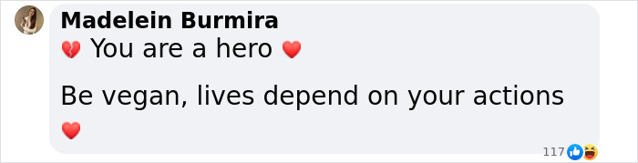Text message showing support for a vegan activist's fight against animal slavery with heart emojis. Text message showing support for a vegan activist's fight against animal slavery with heart emojis.