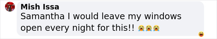 Man In Brazil Documented Hilariously Adorable Encounter With A Wild Sloth Man In Brazil Documented Hilariously Adorable Encounter With A Wild Sloth