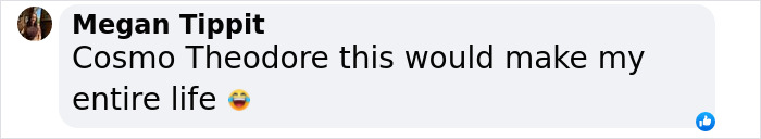 Man In Brazil Documented Hilariously Adorable Encounter With A Wild Sloth Man In Brazil Documented Hilariously Adorable Encounter With A Wild Sloth