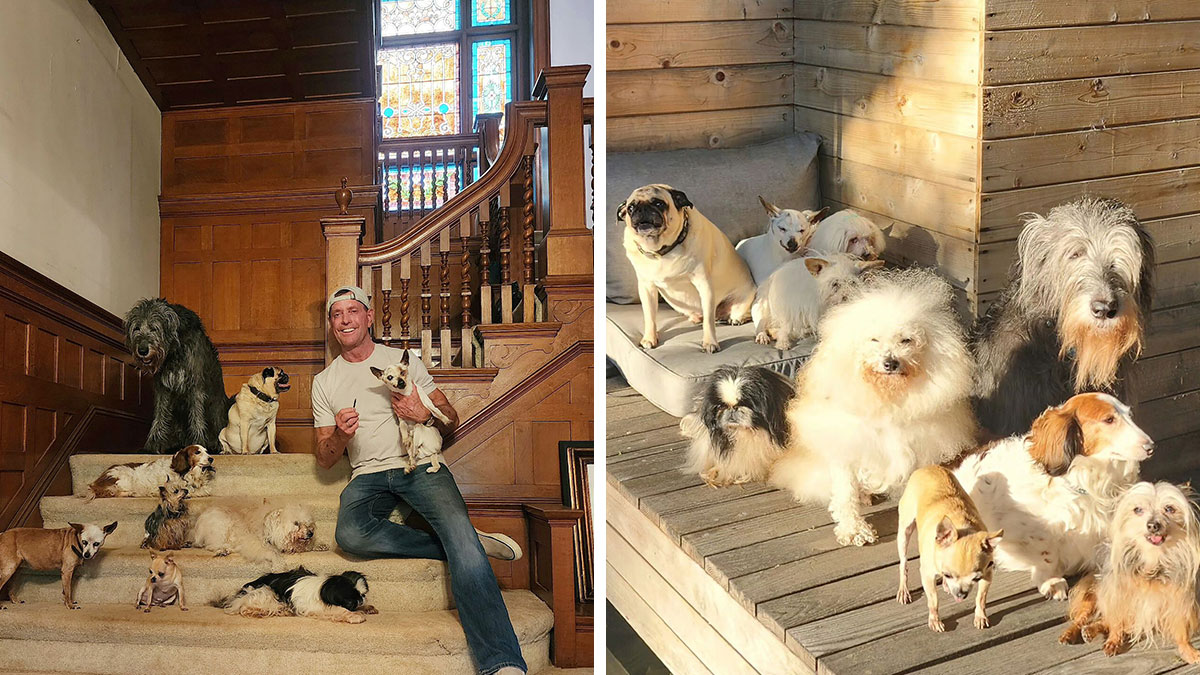 Retiree Is On A Mission To Give Loving Home Exclusively To Senior Dogs In Need