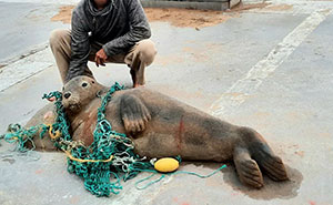 Andoni Bastarrika’s Stunning Sand Sculptures That Look Almost Real (20 New Pics)