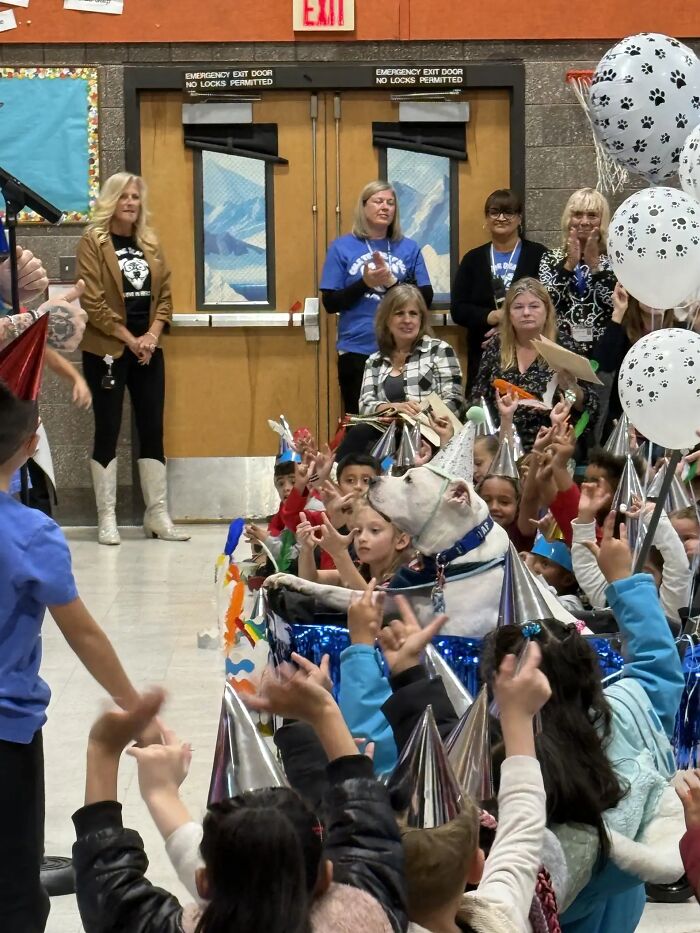 School kids use sign language to celebrate their deaf therapy dog's birthday with party hats and decorations. School kids use sign language to celebrate their deaf therapy dog's birthday with party hats and decorations.