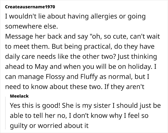 Woman Assumes Sis Will Look After Her 4 Cats While She's On Holiday, But She Doesn't Want To Woman Assumes Sis Will Look After Her 4 Cats While She's On Holiday, But She Doesn't Want To