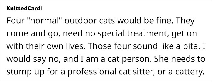 Woman Assumes Sis Will Look After Her 4 Cats While She's On Holiday, But She Doesn't Want To Woman Assumes Sis Will Look After Her 4 Cats While She's On Holiday, But She Doesn't Want To