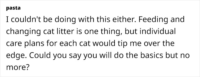 Woman Assumes Sis Will Look After Her 4 Cats While She's On Holiday, But She Doesn't Want To Woman Assumes Sis Will Look After Her 4 Cats While She's On Holiday, But She Doesn't Want To