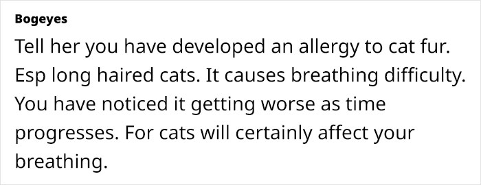 Woman Assumes Sis Will Look After Her 4 Cats While She's On Holiday, But She Doesn't Want To Woman Assumes Sis Will Look After Her 4 Cats While She's On Holiday, But She Doesn't Want To