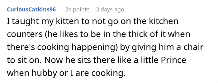 Reddit comment about teaching a kitten not to climb counters by providing a chair, humorously likening him to a prince. Reddit comment about teaching a kitten not to climb counters by providing a chair, humorously likening him to a prince.